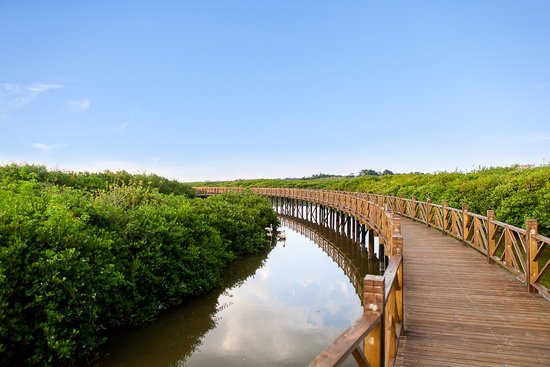 富力红树湾最新,富力红树湾最新动态，揭开未来的居住新篇章