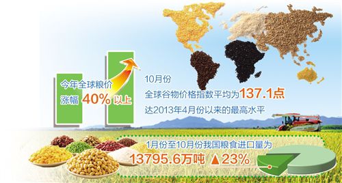 粮价上涨最新消息,全球粮价上涨的最新消息及其影响分析