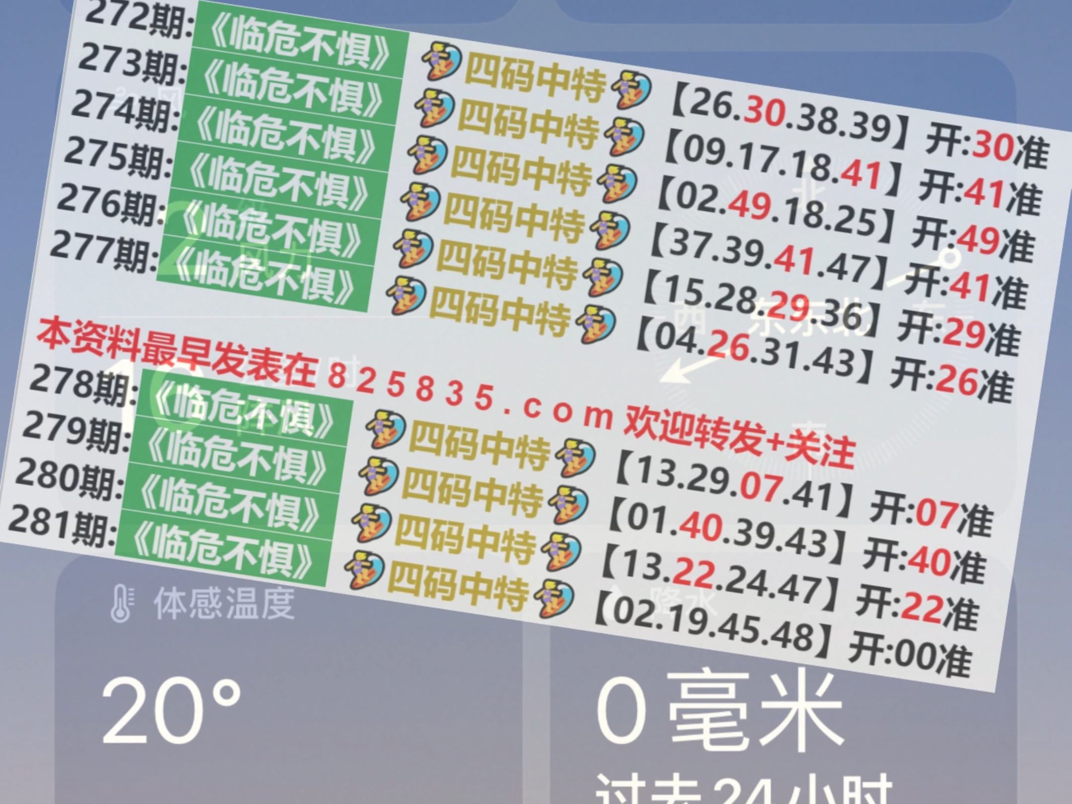 2024澳门天天开好彩精准24码,澳门天天开好彩精准24码，揭示背后的风险与挑战