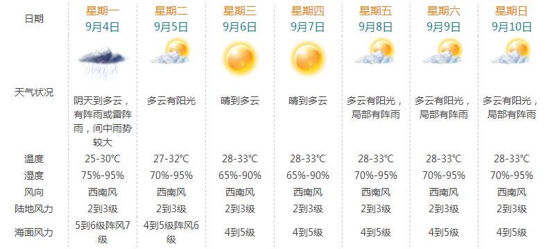 2024新奥今晚开奖号码,揭秘未来奥秘，新奥之夜，今晚开奖号码揭晓