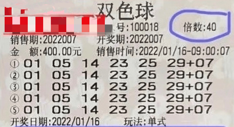 2024新澳门跑狗图今晚特,新澳门跑狗图今晚预测——探索与期待