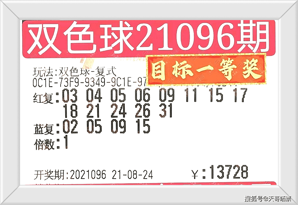 236767澳门今晚开什么号码,澳门今晚彩票号码预测，探索数字背后的奥秘与运气